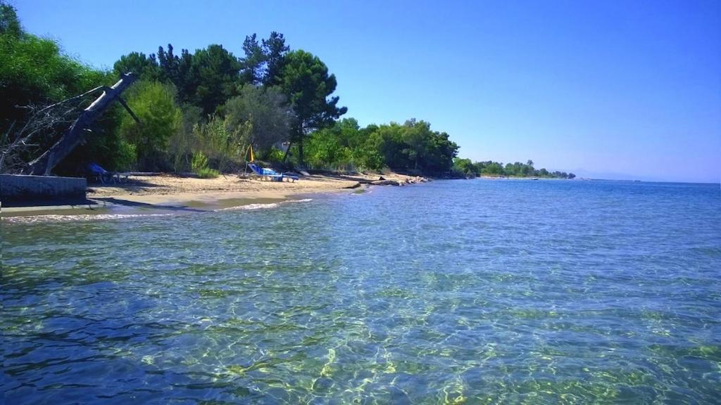 Ionio Apartments Lefkimmi  Dış mekan fotoğraf
