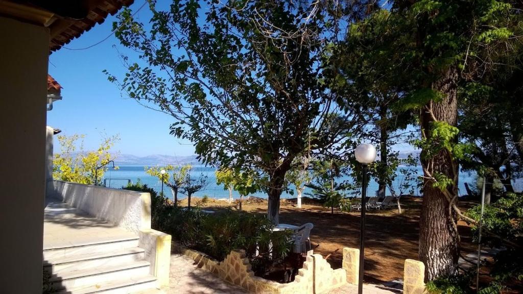 Ionio Apartments Lefkimmi  Dış mekan fotoğraf