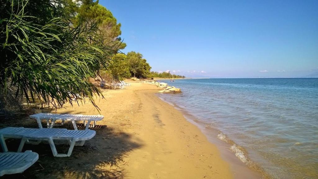 Ionio Apartments Lefkimmi  Dış mekan fotoğraf