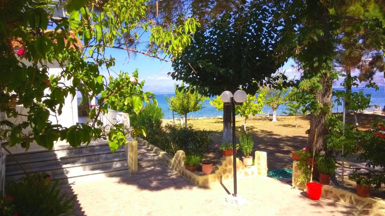 Ionio Apartments Lefkimmi  Dış mekan fotoğraf