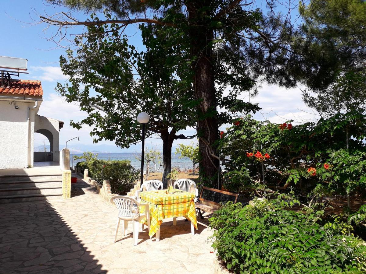 Ionio Apartments Lefkimmi  Dış mekan fotoğraf