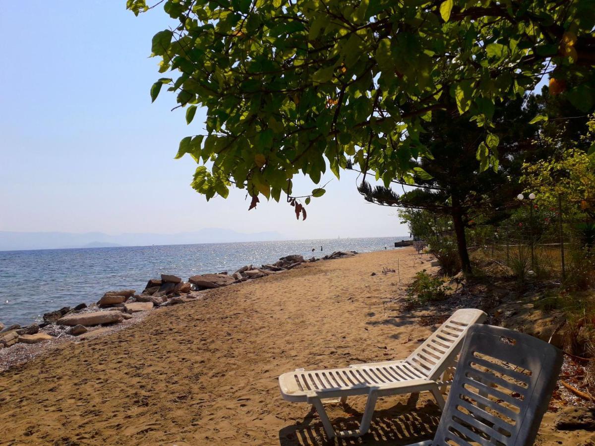 Ionio Apartments Lefkimmi  Dış mekan fotoğraf