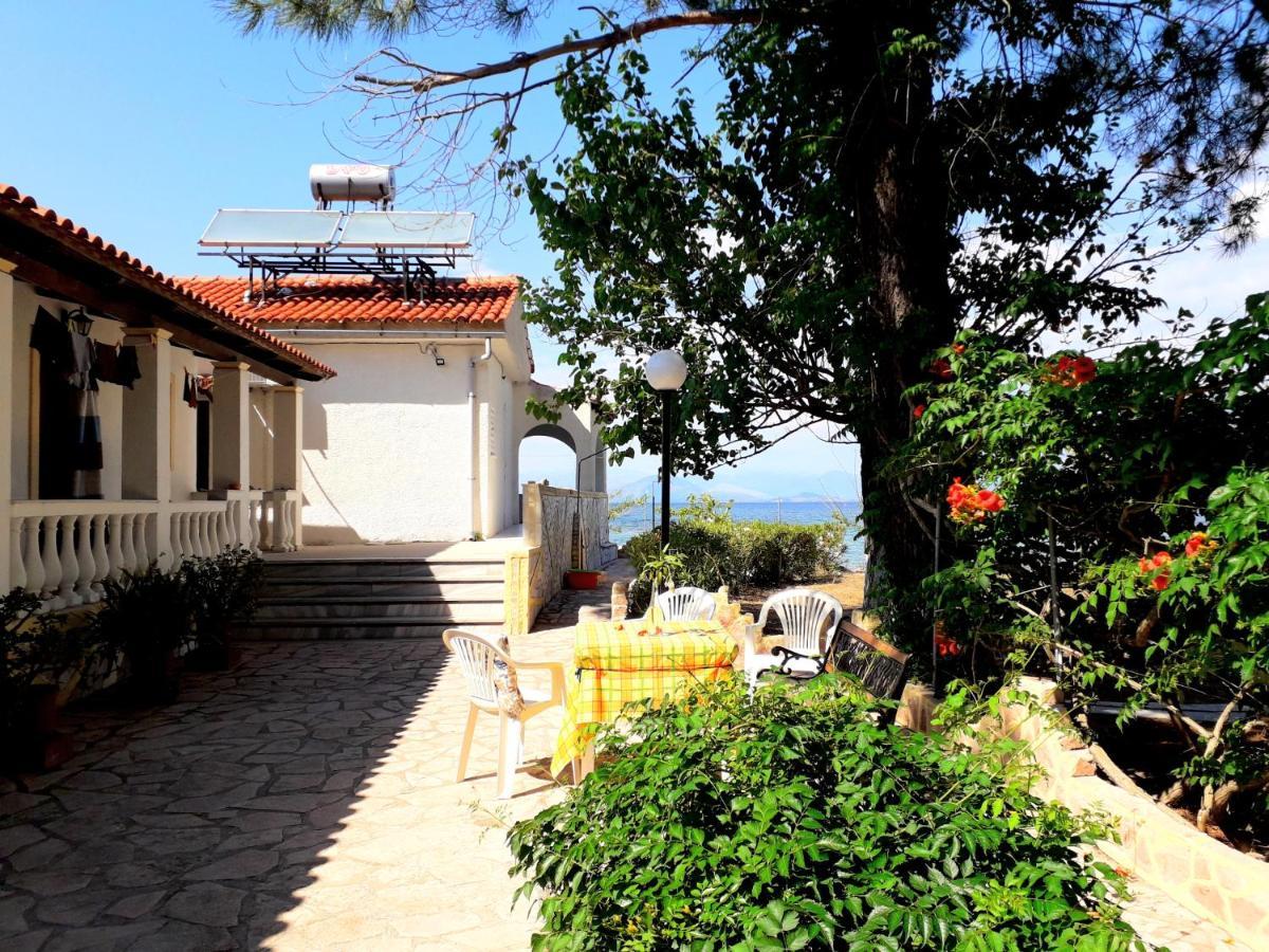 Ionio Apartments Lefkimmi  Dış mekan fotoğraf