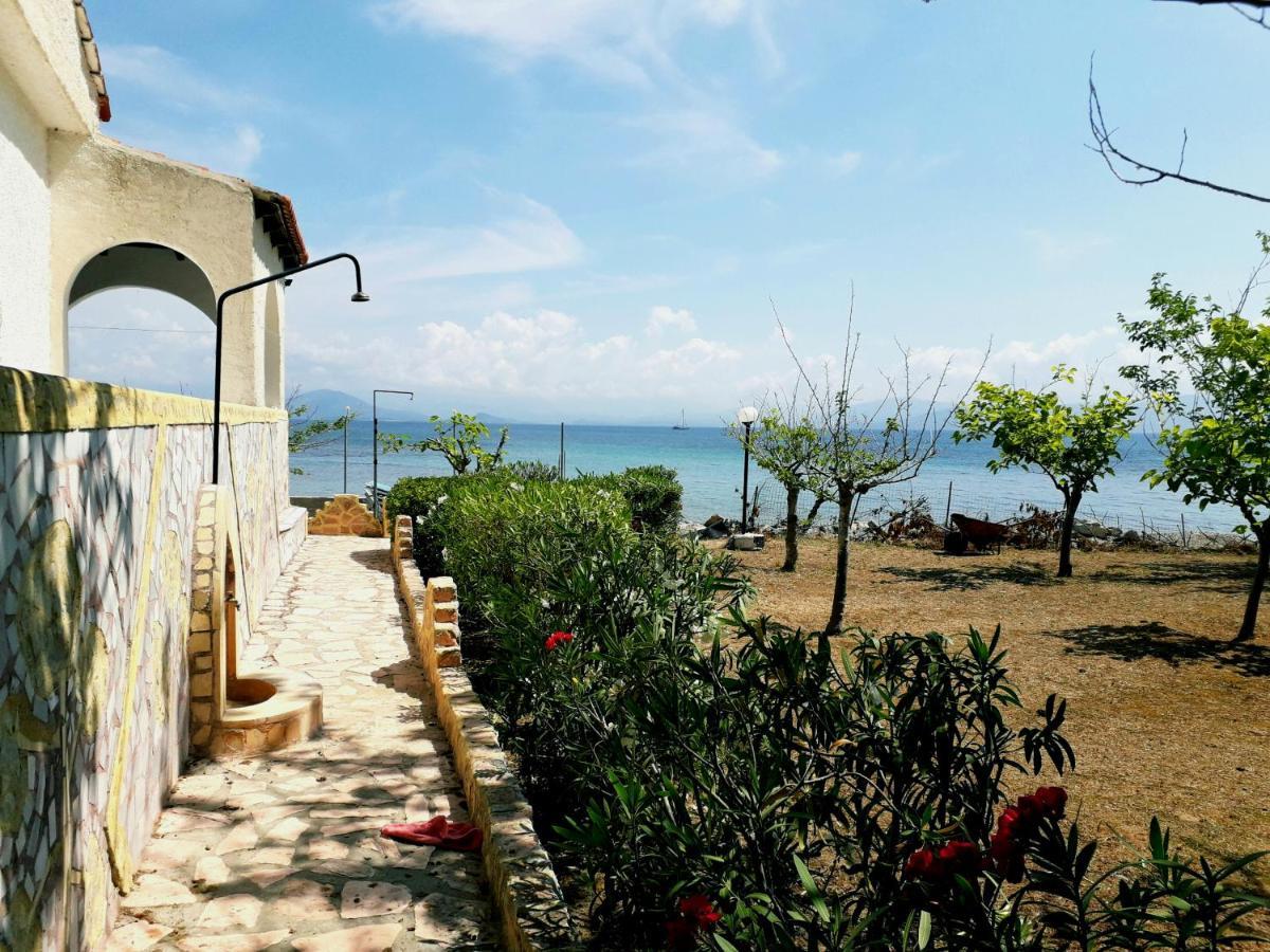 Ionio Apartments Lefkimmi  Dış mekan fotoğraf